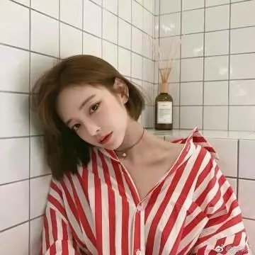 福斯特对话尼克松